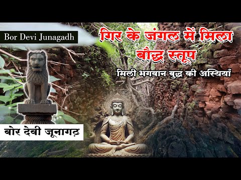 बाघों के जगल में बौद्ध स्तूप किसी को खबर नहीं | Junagadh | Boriya Relic Stupa | गिरनार पर्वत