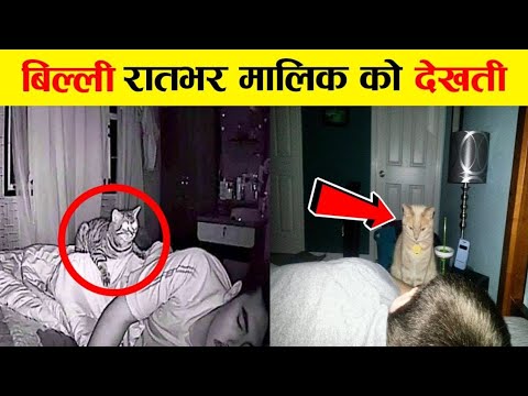 बिल्ली रातभर😱 मालिक को देखती🤯 | Cat Stares At Owner | #shorts