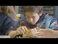 Three-Dimensional Science Education Concepts
