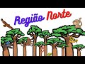 Geografia da Região Norte do Brasil