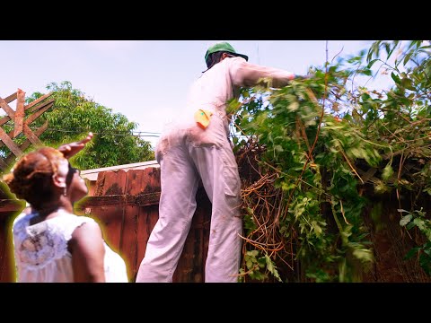 Her Neighbor’s Vines DESTROYED Her Fence..So I Stepped In ❤️ | Satisfying Transformation