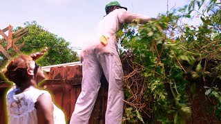 Her Neighbor’s Vines DESTROYED Her Fence..So I Stepped In ❤️ | Satisfying Transformation