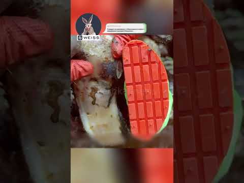Спасли корову от гематомы копыта 😱🔥🐮