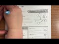 Algebra EOC Review: Quadratic Functions Insights