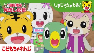 【見逃し配信】テレビ番組「しまじろうのわお！」 9月20日放送 ｜あつまれ！ たべものシール｜#691 【しまじろうチャンネル公式】