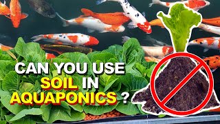 Using Soil in Aquaponics is Easy- Wicking Bed Build + Helpful Pointers