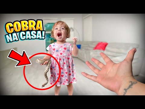 TEM UMA COBRA DENTRO da NOSSA CASA! QUEM VAI SALVAR a NOSSA FAMÍLIA? Pai Também Vloga