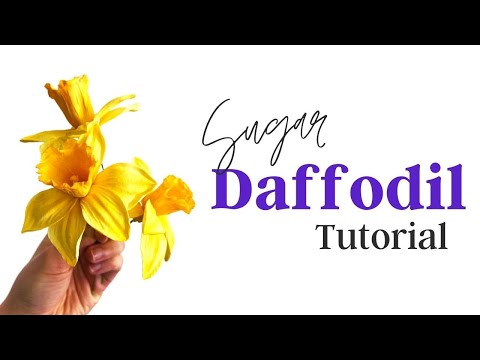 Spring Flowers Cake Decorating // Sugar Daffodils //...