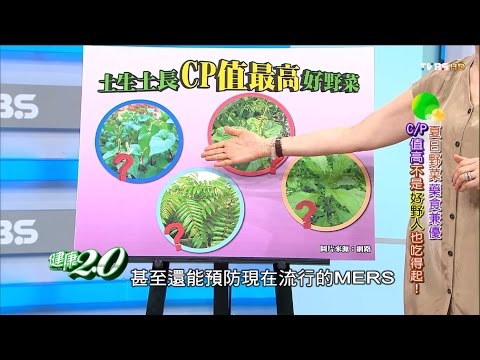 CP值最高好野菜，抗癌還能對抗疾病！健康2.0(完整版)