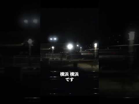 まさかJR東日本の車掌さんがこの駅名を発するとは思わなかった…