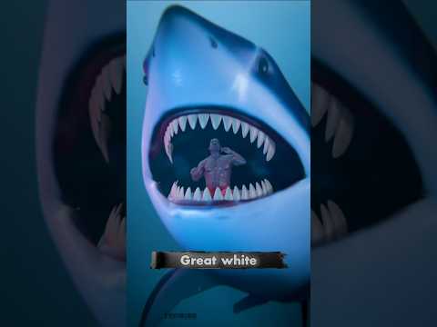 মানুষকে প্রায় গিলে ফেললো তিমি! 😨🐋