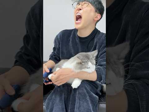 고양이 발톱 깎이는 방법 이건 진짜 쉬움 ㅇㅈ?
