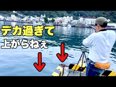 【異世界】サビキ竿に掛かった大物は？生きた小魚を泳がせて海のヌシを釣り上げろ！！！