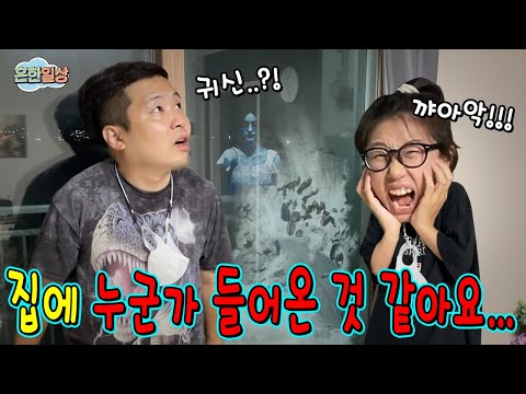 제주도 숙소에 알수없는 존재가 들어온거 같아요....