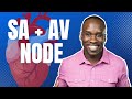 Heart Node Functions and Pacemakers