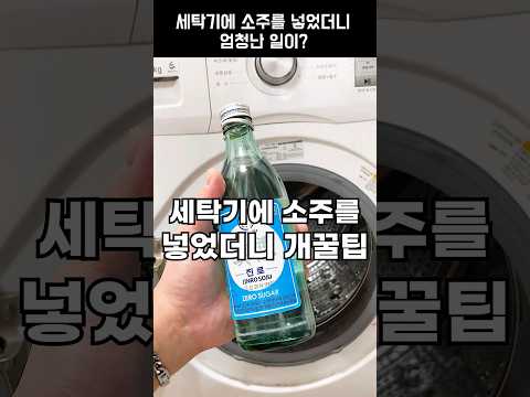 세탁기에 소주를 넣었더니 생기는 개꿀팁