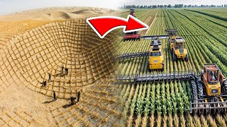 China’s Desert Transformation Stuns the World with Unseen Greening Tactics