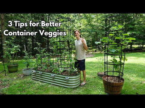 3 Tips for Container Grown Veggies - Easier Care & Better Harvest