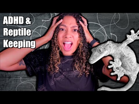 ADHD and Reptile Keeping