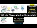 DNA Structure and Replication Concepts