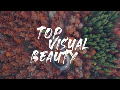 TopVisualBeauty