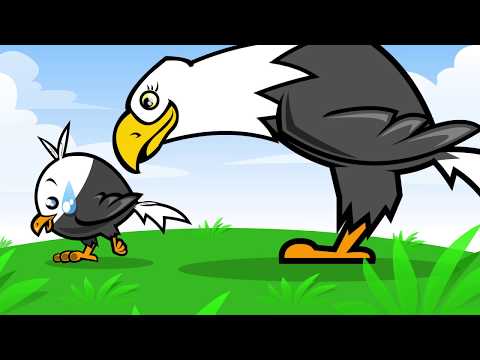 Massimiliano Tortoioli