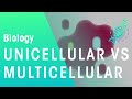 Unicellular vs Multicellular Organisms