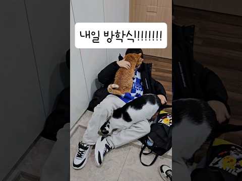 드디어 내일 겨울방학이다?