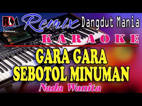 Gara Gara Sebotol Minuman - Dj Mix Dut Orgen Tunggal Karaoke (Nada Wanita) Revina Alvira