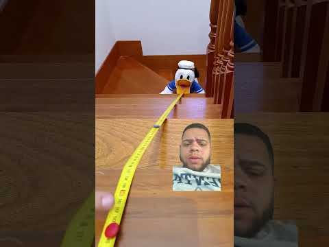 Créditos al creador #funny #duck #memes #birds #animation #cute #love #ytshorts #youtubeshort