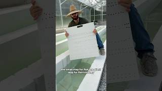 Making tank dividers out of PVC sheets