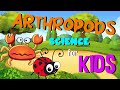 Arthropod Characteristics and Features