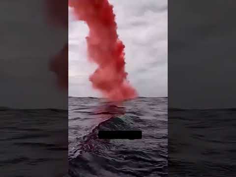 Navy Ne Soldier Ko Bachaya #shortvideo