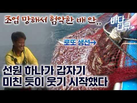 조업 망해 실성했나 싶었다. 험악한 배 분위기 속 선원 하나가 입이 귀에 걸려 전부 달려들었더니 / 자리돔 잡이 배에서 최고 로또라는 벤자리 / #바다다큐