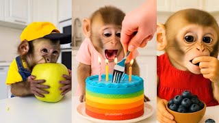 A funny video that even makes babies stop crying😂😂😂