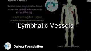 Lymphatic Vessels