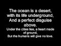Desert Journey and Observations