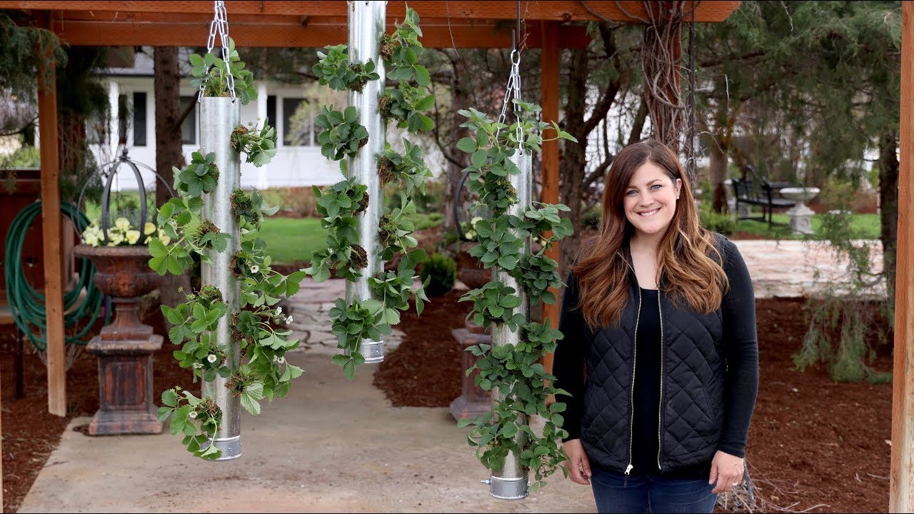 Galvanized Vertical Strawberry Planter! (FULL VERSION)