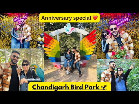Bird Park Chandigarh🦅| Anniversary Celebration 🎉 | Top famous place in Chandigarh 😊