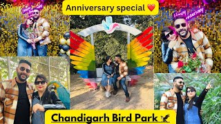 Bird Park Chandigarh🦅| Anniversary Celebration 🎉 | Top famous place in Chandigarh 😊