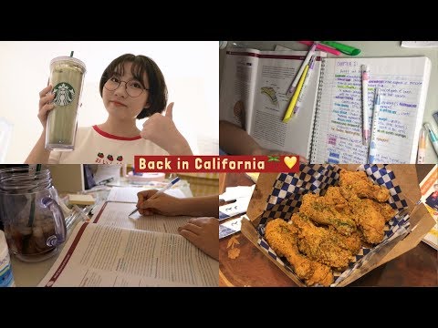I started studying for the MCAT and it's not pretty // cali vlog