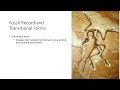 Fossil Formation and Dating Concepts