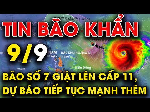 🔴[Trực Tiếp] CẬP NHẬT DIỄN BIẾN BÃO SỐ 7 MỚI NHẤT l Dự báo thời tiết hôm nay và ngày mai 9/9