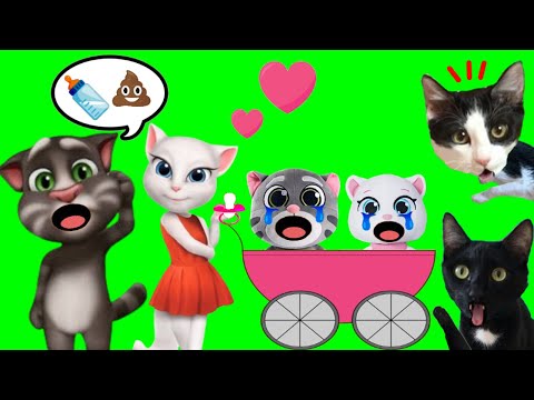 100 COSAS DE TALKING TOM Y ANGELA ¿tienen gatitos bebé en la vida real? / Videos de gatos graciosos