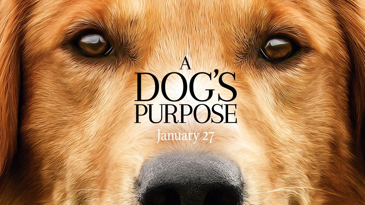 A Dog's Purpose Trailer thumbnail