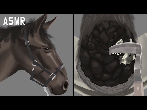 장제사 말발굽 청소하고 교체하기 ASMR 애니메이션 Horseshoeing Restoration