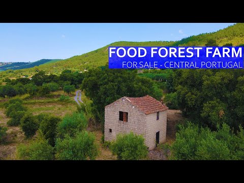 Food Forest Farm For Sale - 30,000