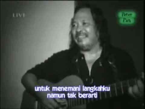 Peterpan live-Bintang di surga
