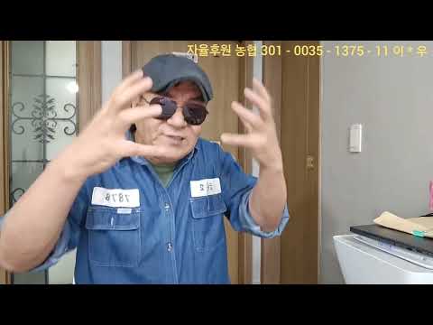 미쳤다 범죄자 키워 대통령 만들기! 니 놈들이 본정신 맞습니까?
