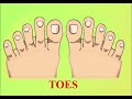 Understanding Body Parts